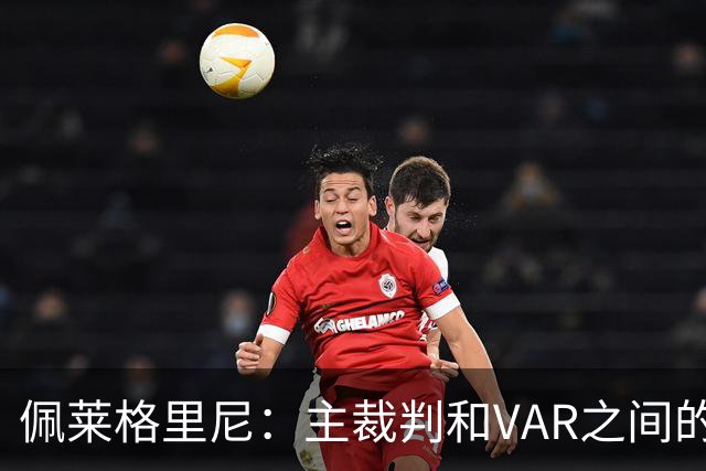 佩莱格里尼：主裁判和VAR之间的协作衔接，应该是需要改进的地方
